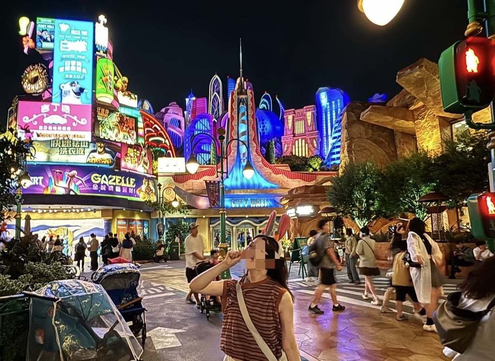 「ズートピア」エリアの夜景